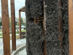 Dlaczego elementy parku kieszonkowego oraz tężnia na Stawkach zostały kolejny raz uszkodzone?