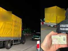 Gubinek: bus z Polski, kierowca z Zimbabwe oraz podrobione prawo jazdy z RPA