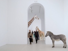 Zbliża się 25. Międzynarodowy Festiwal Fotografii w Łodzi. Sprawdź, co w programie