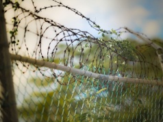 Czy można mieć drut kolczasty na ogrodzeniu?