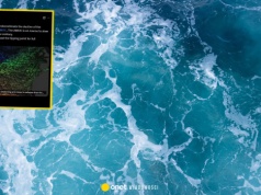 Coś złego dzieje się z Atlantykiem. Alarmujące doniesienia naukowców