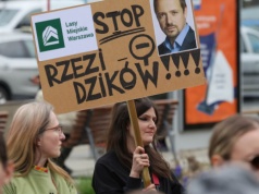 Ponad 3 tys. dzików w stolicy. Warszawa powoła zespół ekspertów w tej sprawie