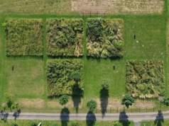 Kosić czy nie kosić? Na to pytanie odpowiedzieli naukowcy z Uniwersytetu Jagiellońskiego