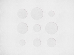 Najbardziej zielone miasta Europy. Polska ma powody do zadowolenia