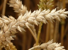 Rosja atakuje ukraińskie porty, kluczowe dla bezpieczeństwa żywnościowego