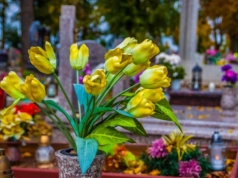 Zmarli we Wrocławiu - pogrzeby zaplanowane na 18.04.2026 – nekrologi