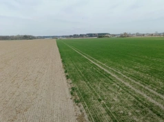 Nowy model dzierżawy państwowej ziemi. Więcej punktów, mniej swobody