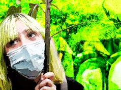 „Tolerancja” tylko z nazwy? Zieloni nie znoszą sprzeciwu