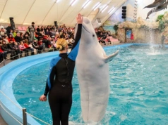 Koniec popularnej atrakcji dla turystów. Będą zmiany w ofertach