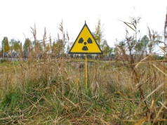 Skandal pod Czarnobylem. Uprawiali 190 ha w strefie skażenia i sprzedawali plony