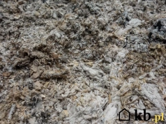 Popiół z kominka – darmowy nawóz czy ukryte zagrożenie?