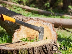 Wyciął drzewo we własnym ogrodzie. Kilka tygodni później dostał pismo z urzędu