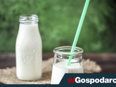 Wybierasz nabiał „light”? To nie zawsze idealne rozwiązanie