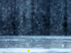 Zielona Góra - sprawdź prognozę pogody w dniu 18.04.2026