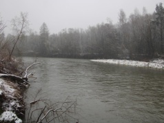 Awantura o elektrownię na Skawie