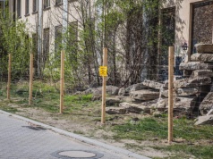 Ratują historię Ostrowa, która dziś jest ruiną (ZDJĘCIA)