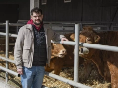 Po lepszą genetykę jeździ do Francji. Tak rozwija stado bydła mięsnego i sprzedaż odsadków