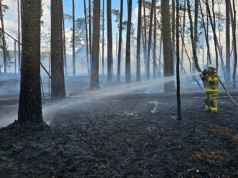 Pożar w Parku Narodowym Bory Tucholskie. W akcji strażacy i samoloty gaśnicze