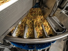 Convenience rośnie, Green Factory inwestuje. Nowa produkcja i plany skalowania