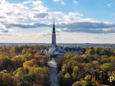 To miasto wyda aż 38 mln zł na zieleń w centrum. Szykuje się wielka inwestycja