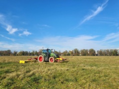 Jak często kosić trawę? Naukowcy z Uniwersytet Jagielloński mają jasną odpowiedź. To ważne dla alergików