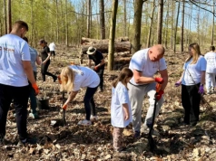 Wolontariusze KGHM posadzili drzewa przy Hucie Miedzi Głogów
