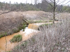 Kozi Bród przy Grabańce