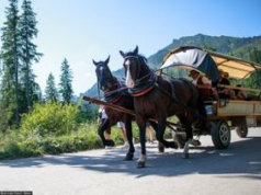 Majówka bez rewolucji na trasie do Morskiego Oka. Zostają wozy konne