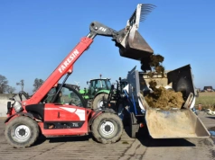 Jak poprawić strukturę TMR? Ten element decyduje o pobraniu paszy