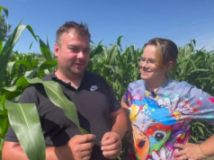 150 tys. zł z 5 hektarów. Rolnicy pokazują, jak zarobić na kukurydzy