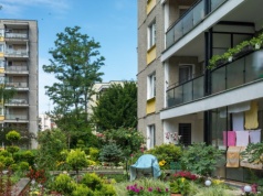 Masz ogródek pod blokiem? Te rośliny mogą ściągnąć na ciebie karę