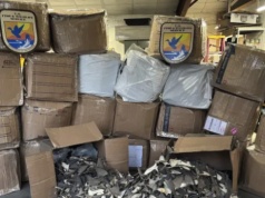 50 tys. płetw rekinów jako części samochodowe. Rozbita siatka przemytników