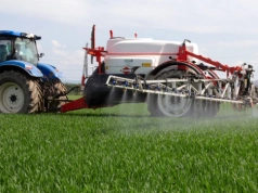 Pogoda się poprawiła. Można jeszcze odchwaszczać zboża?