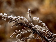 Alert I stopnia dla województwa podkarpackiego. Temperatura nas zaskoczy