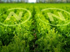 Bakterie azotowe a decyzja rolnika. Czego oczekują gospodarstwa i jak odpowiada na to ENCERA WG?