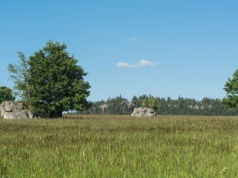Afrykańskie klimaty w polskich górach. To miejsce przypomina sawannę. Dotrzesz w 30 minut