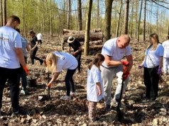 Wolontariusze KGHM zasadzili kolejne tysiące drzew przy Hucie Miedzi Głogów
