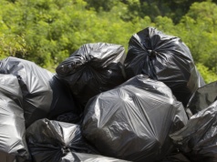 Akcja sprzątania tzw. carskiej drogi w Biebrzańskim Parku Narodowym