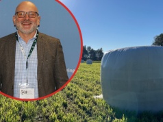 Dodatki do zakiszania. Sprawdzamy, jakie są najlepsze na pierwszy pokos