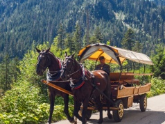 Majówka bez zmian na trasie do Morskiego Oka. Zostają bryczkami konne