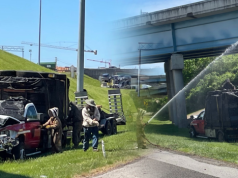 Przewozili pszczoły, kiedy rozbiła się ciężarówka. Milion owadów sparaliżował o autostradę