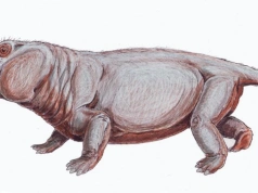 Zarodek ujawnił tajemnicę przetrwania po wielkim wymieraniu. "Przełom"