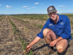 Australia: rok bez uprawy, by zgromadzić wodę – jak oni to robią?