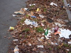 Mandaty do 350 euro. Berlin walczy z zaśmieceniem i wprowadza nowy system nagród