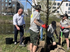 Posadzili już 5000 drzew w ramach „WROśnij we WROcław”