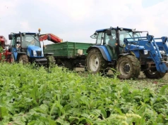 Pracowników z Ukrainy coraz trudniej ściągnąć. Gospodarstwa szykują się na wyższe stawki
