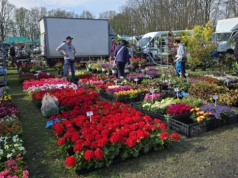 Rekord frekwencji podczas XIX targów „Pamiętajmy o ogrodach”