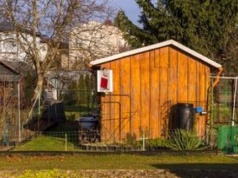 50 tys. zł dla działek ROD. Miasto rusza z programem wsparcia