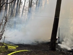 Pożar domków letniskowych w Mierzwicach
