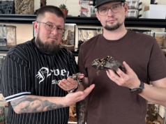 Pająki bez strachu. Pasjonaci z Konina pokazują ich prawdziwe oblicze